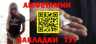 спиды Кингисепп
