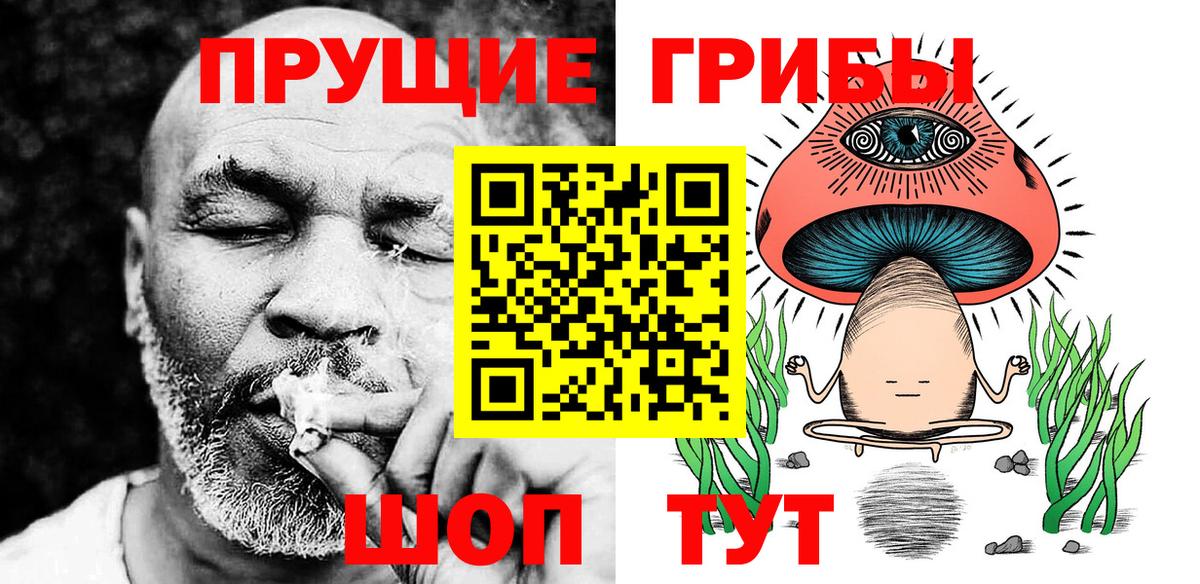Галлюциногенные грибы GOLDEN TEACHER  купить наркотик  Клинцы  Вход с VPN 
